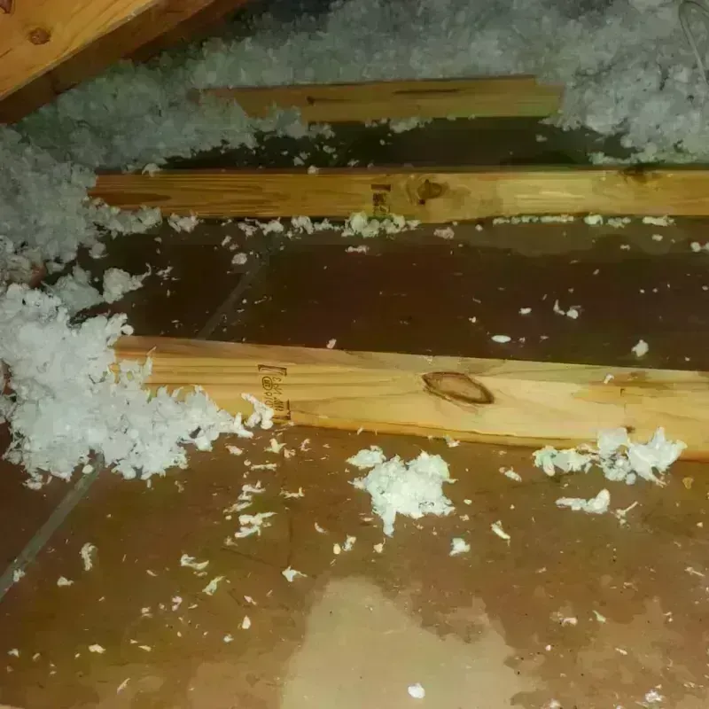 Attic Water Damage in Milam, TX